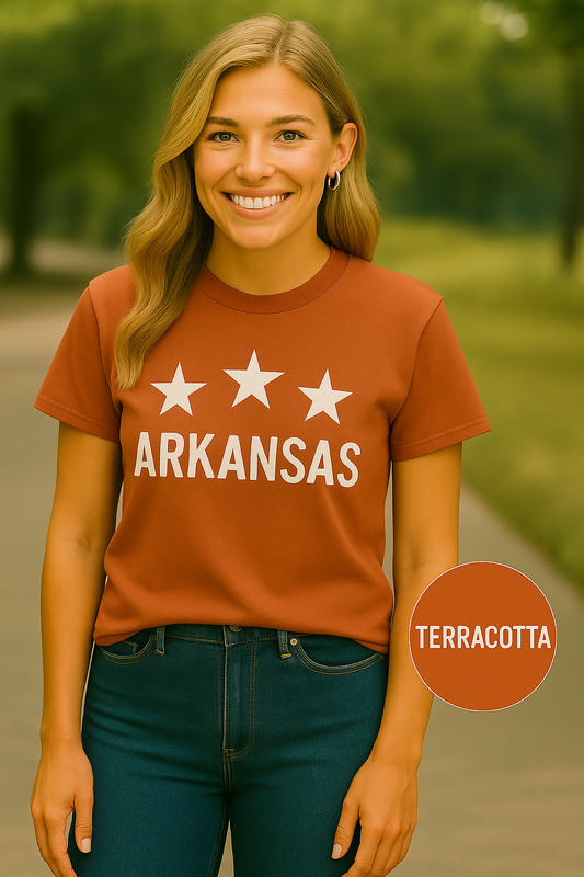 Arkansas Three Star Shirt – Southern State Pride Tee – Comfort Colors Vintage Graphic T-Shirt